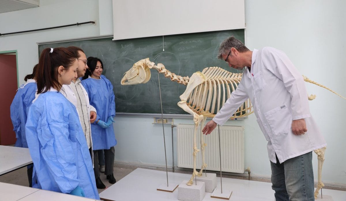 Biyoloji Öğrencileri Doğa Tarihi Müzesi’ne İskelet Hazırlıyor