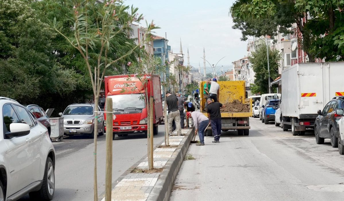 Kıyık Caddesi’ne Yeşil Dokunuş: Fidan Dikimleri Başladı