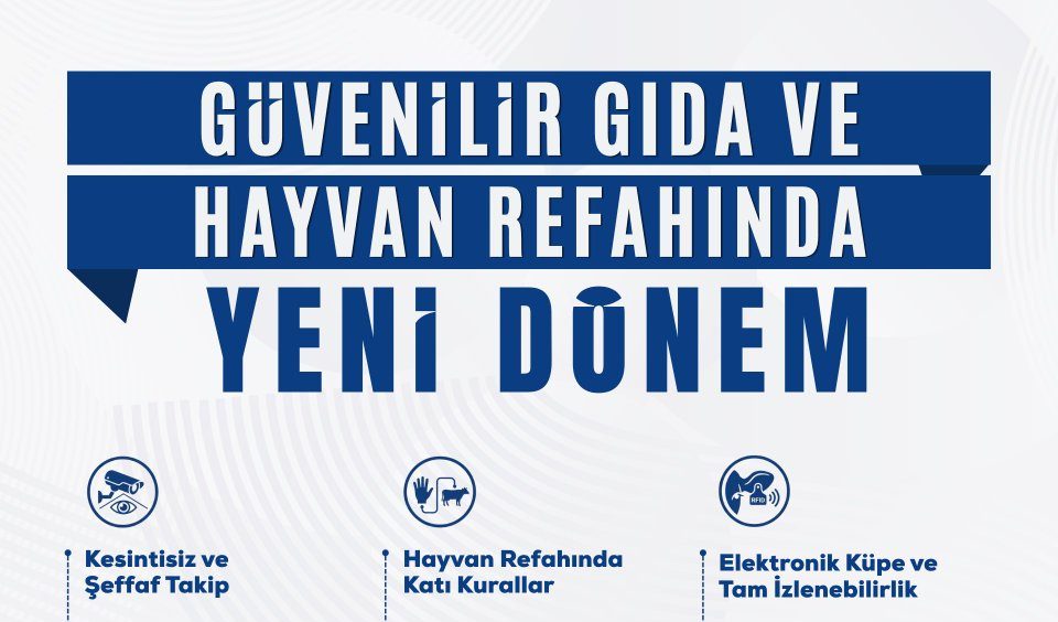 Kesimhanelerde yeni dönem: Kamera zorunlu, asma yasak