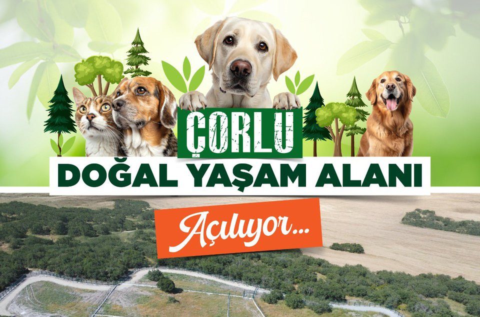Çorlu’da Sokak Hayvanlarına Doğal Yaşam Alanı Müjdesi