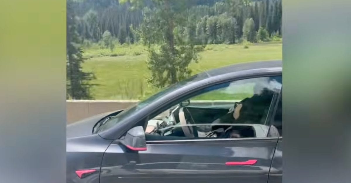 Tesla Sürücüsü Otoyolda Uyudu: Çocuklar da Araçta