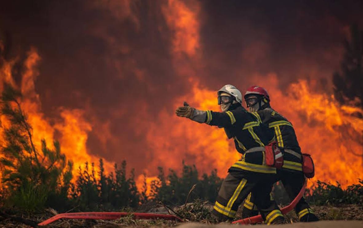 Fransa’da 32 Kişi Orman Yangını Şüphelisi Olarak Gözaltına Alındı