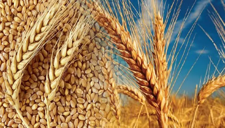 Tarımda tarihi rekor: 83,2 milyar dolar
