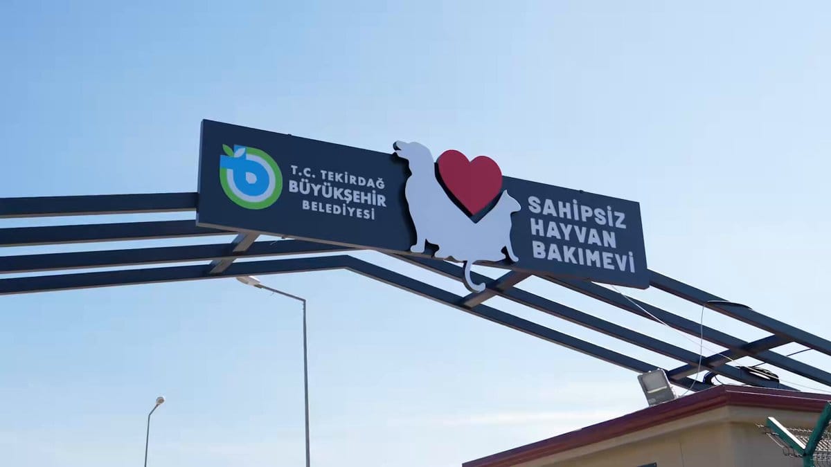 Karacakılavuz’da 5 bin can dost tedavi edildi