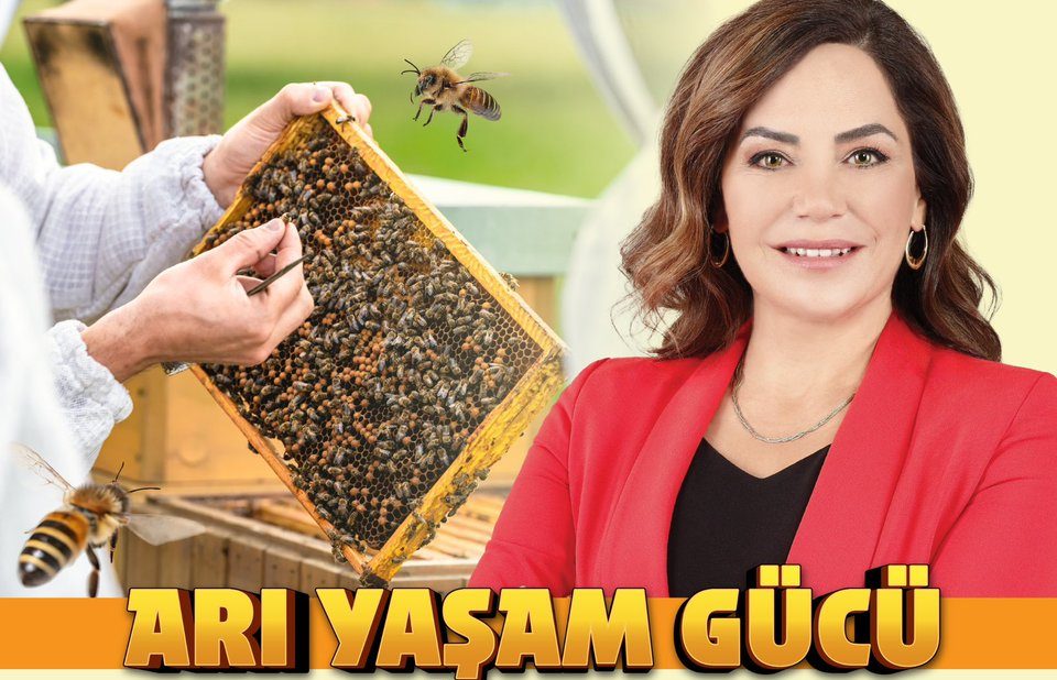Arıcılara Özel Destek: Arı Keki ve Fondan Şeker Dağıtılıyor