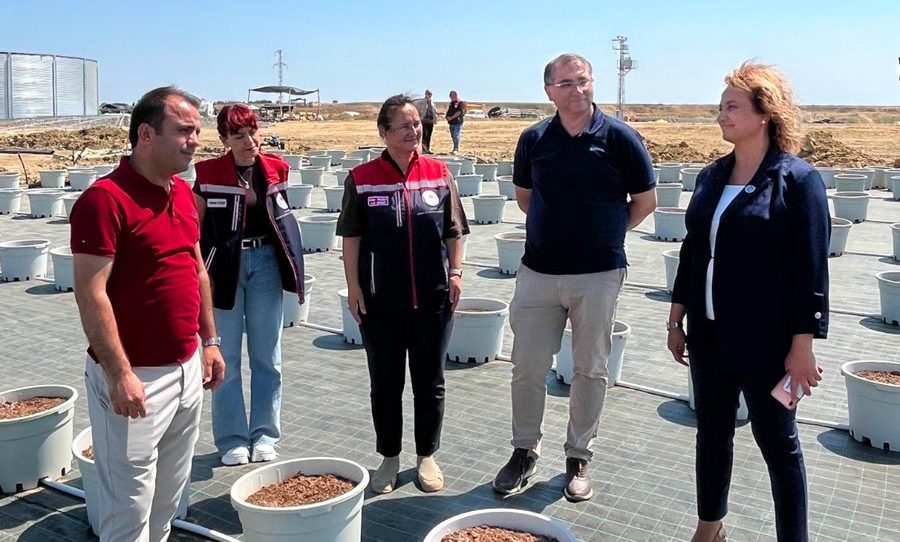 Sarıcaali’de Yaban Mersini Tesisi İncelendi