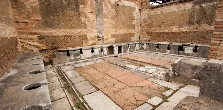 Antik Roma'da paylaşılan süngerlerden Japonya'daki dışkı ticaretine ve Avrupa'nın sokağa boşaltılan lazımlıklarına kadar tuvalet tarihinin en çarpıcı gerçekleri.