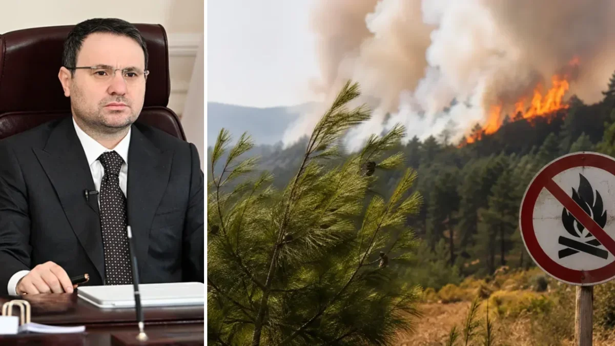Orman Yangınlarında 70 Şüpheli Belirlendi