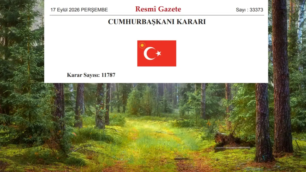 27 İlde Orman Sınırı Dışına Alan Çıkarıldı