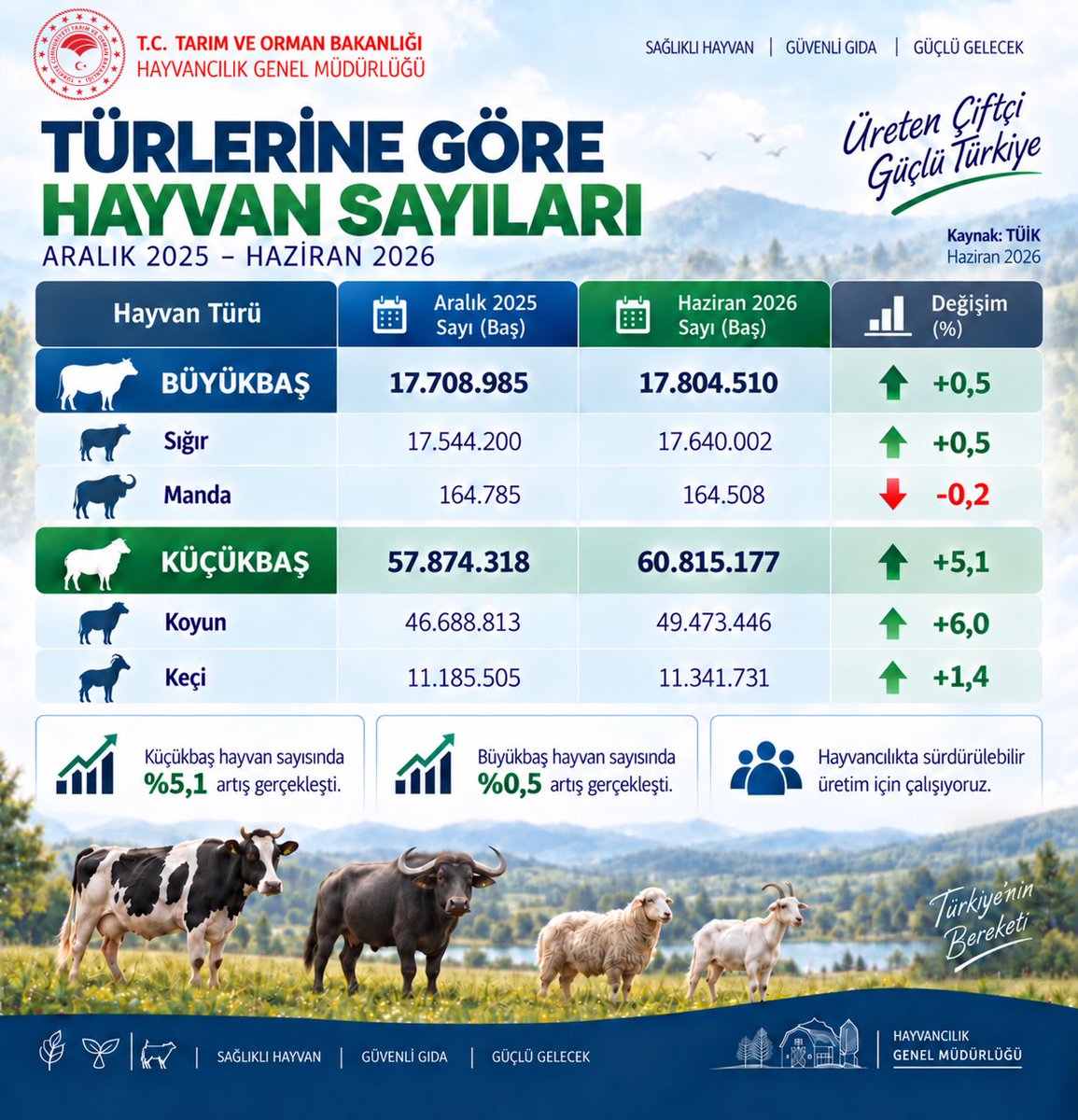 Hayvan Varlığımız Rekor Kırdı: 60,8 Milyon Baş