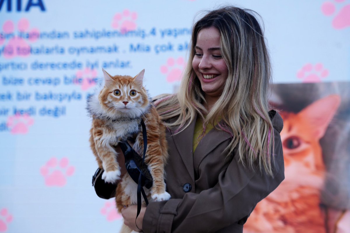 Patifest 2. Günü Coşkuyla Sona Erdi