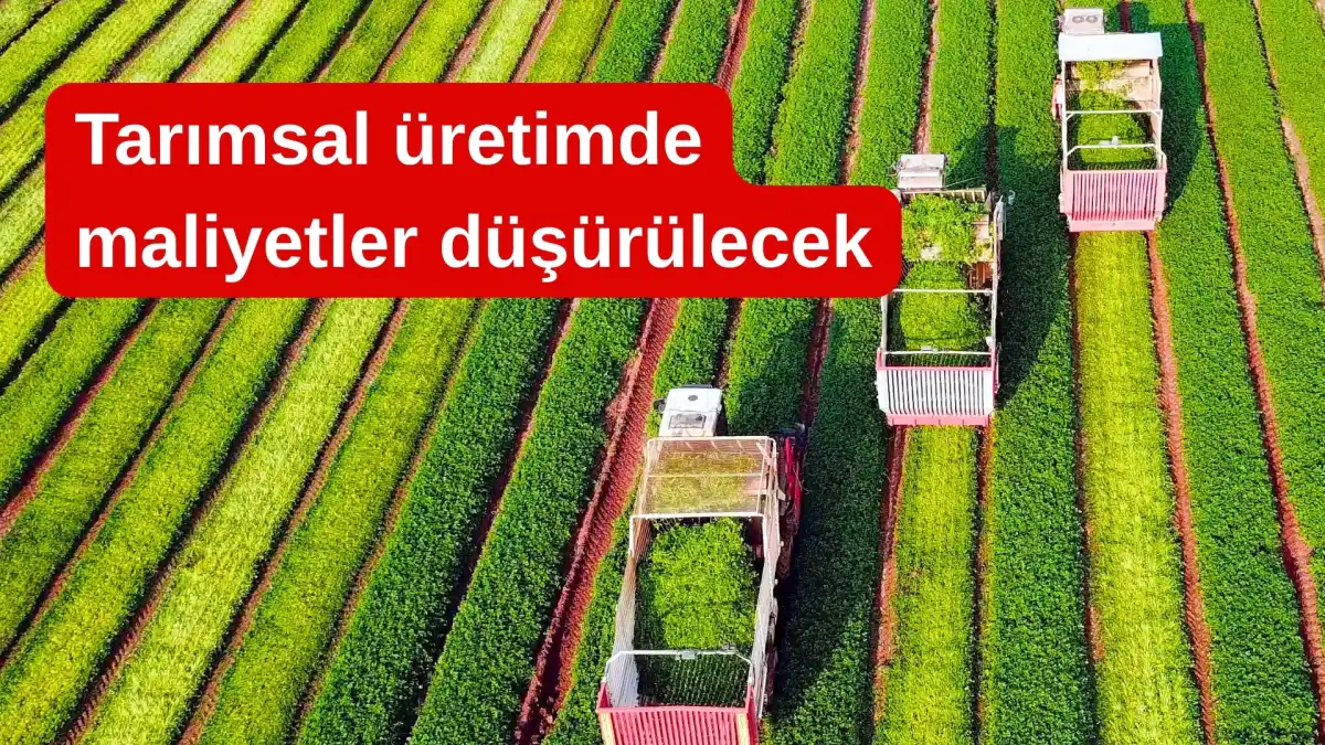 Gıda Fiyatlarında Yeni Dönem: Maliyetler Düşecek