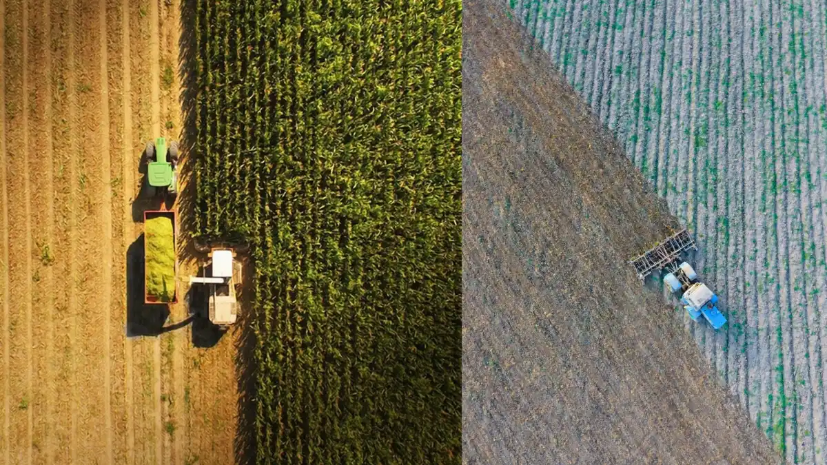 Gıda Fiyatları 4 Yılın Zirvesinde: FAO Endeksi 133,3 Puan