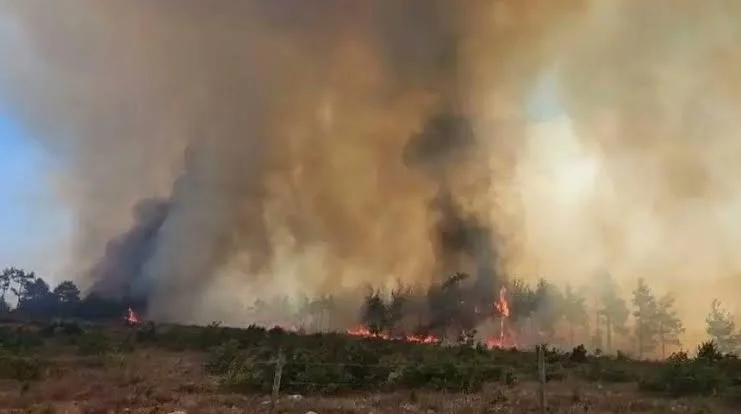 Muğla’da Yangın Ula’ya Sıçradı! Karayolu Kapandı