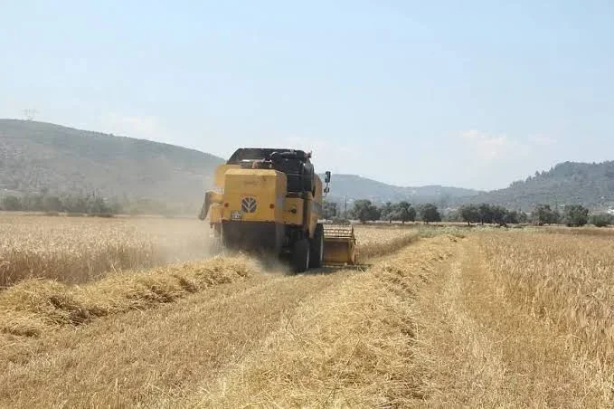 Tarımsal Destekler Artıyor: Üreticilere Müjde