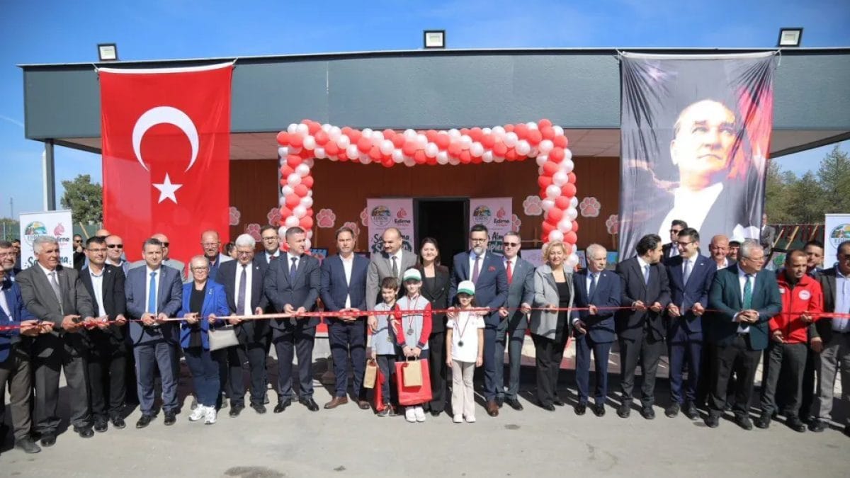 Edirne sahipsiz hayvan yaşam alanı açılışında doğal tesiste beslenen sokak hayvanları