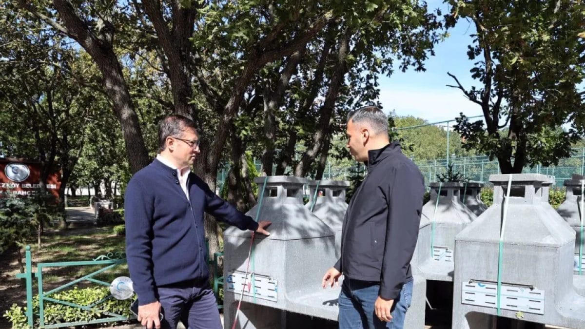 Kartaltepe Piknik Alanı'nda çim serim ve aydınlatma çalışması yapan belediye ekipleri