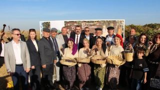 Yeniköy Bağ Bozumu Şenliği Coşkuyla Başladı