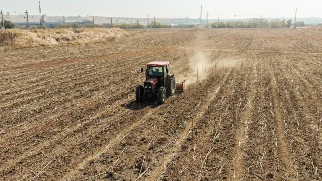 Edirne’de Buğday Ekimi İçin Toprak Hazırlığı Başladı