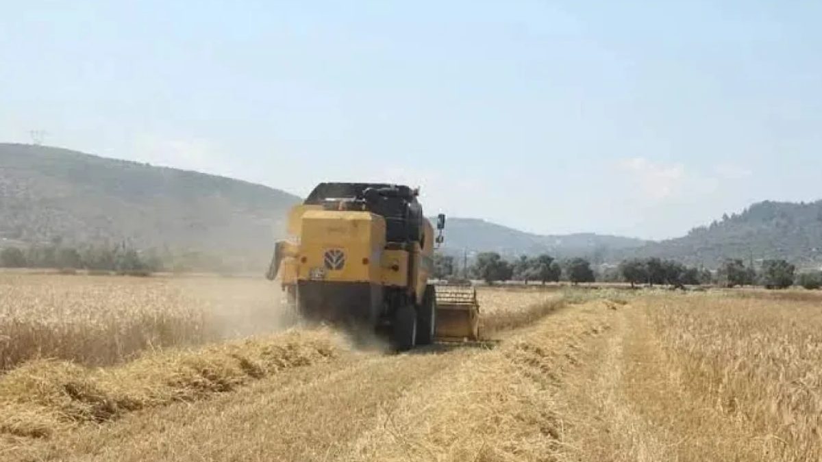 Pancar üreticisi avans ödemesi: Tarım Bakanı İbrahim Yumaklı'nın duyurduğu 952 milyon liralık destek