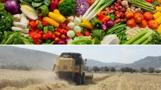 Tarım Ürünleri Fiyatları Eylülde Düştü