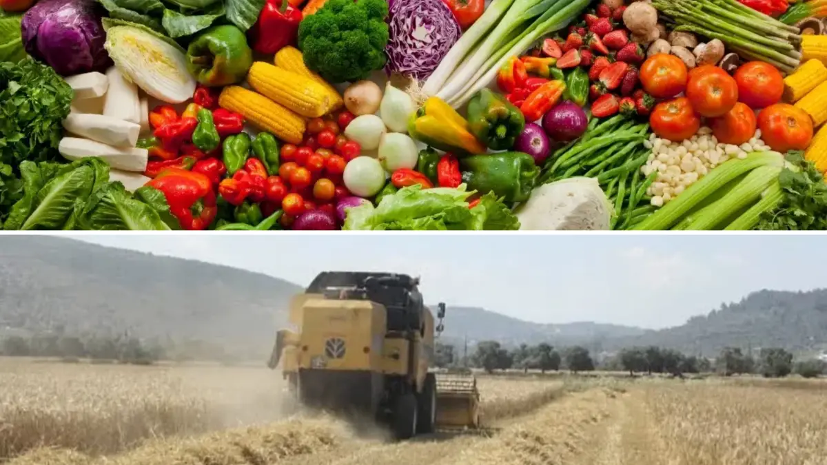 Tarım ürünleri fiyatlarındaki değişimi gösteren grafik