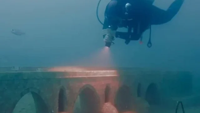 Saros’ta yapay resif canlı yaşamla doldu